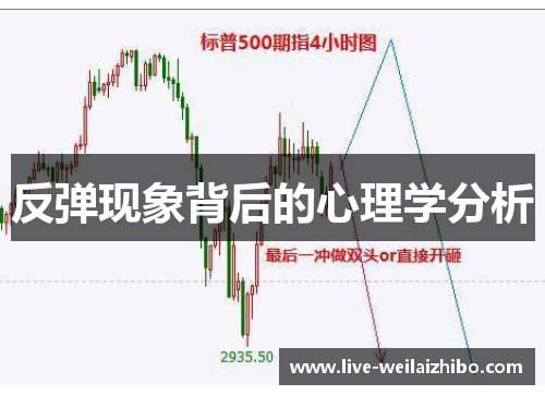 反弹现象背后的心理学分析