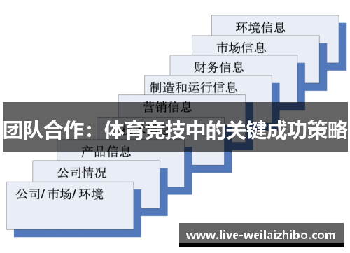 团队合作：体育竞技中的关键成功策略